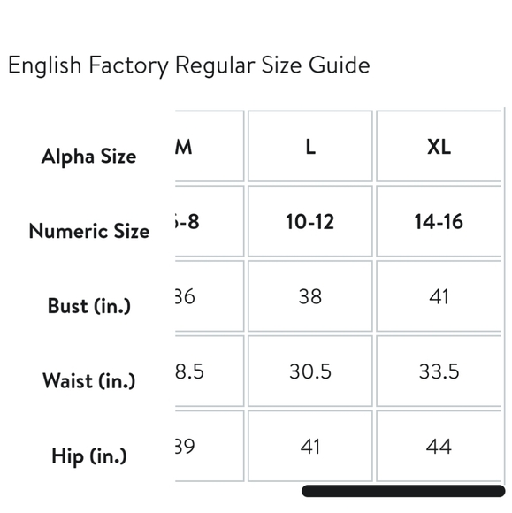 Anthropologie English Factory Contrast Lace Pinafore Dress - Picture 11 of 11